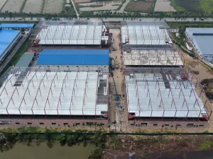 Nhà máy in ấn bao bì